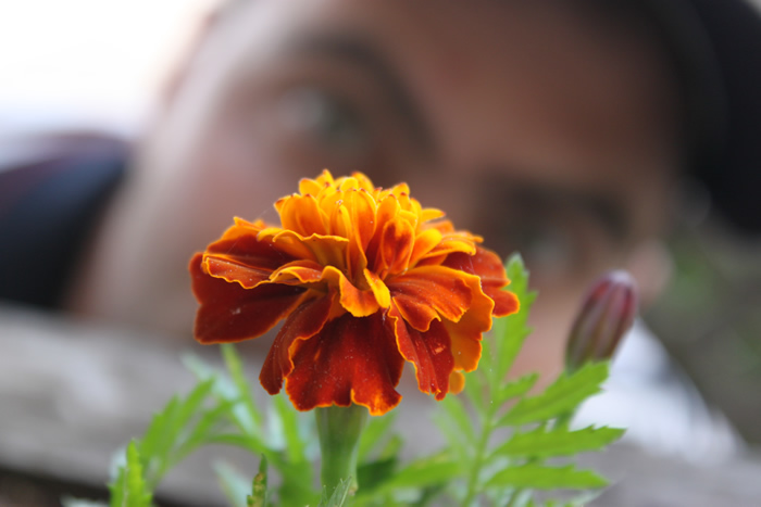 r12_flower